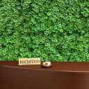 Ver imagem 7 de 10 Placas Trevo Artificial para Decoração Morderna em Casa e Escritório Folhagem e Textura Realista