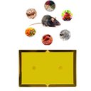 Ver imagem 5 de Kit 2 Placas Pega Rato Insetos Adesiva Armadilha Resistente