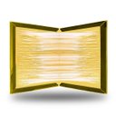 Ver imagem 4 de Kit 2 Placas Pega Rato Insetos Adesiva Armadilha Resistente