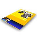 Ver imagem 6 de Kit 2 Placas Pega Rato Insetos Adesiva Armadilha Resistente