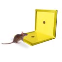 Ver imagem 1 de Kit 2 Placas Pega Rato Insetos Adesiva Armadilha Resistente