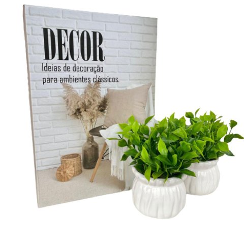 Decoração sala livro caixa decor + dupla vaso cachepot