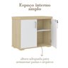 Kit 2 Peças com Mesa Diretor para Escritório e Balcão Multiuso 2 Portas - 12