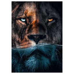 Quadro Decorativo Leão Predador 002 Moldura em Madeira com Vidro 60x80cm - 10