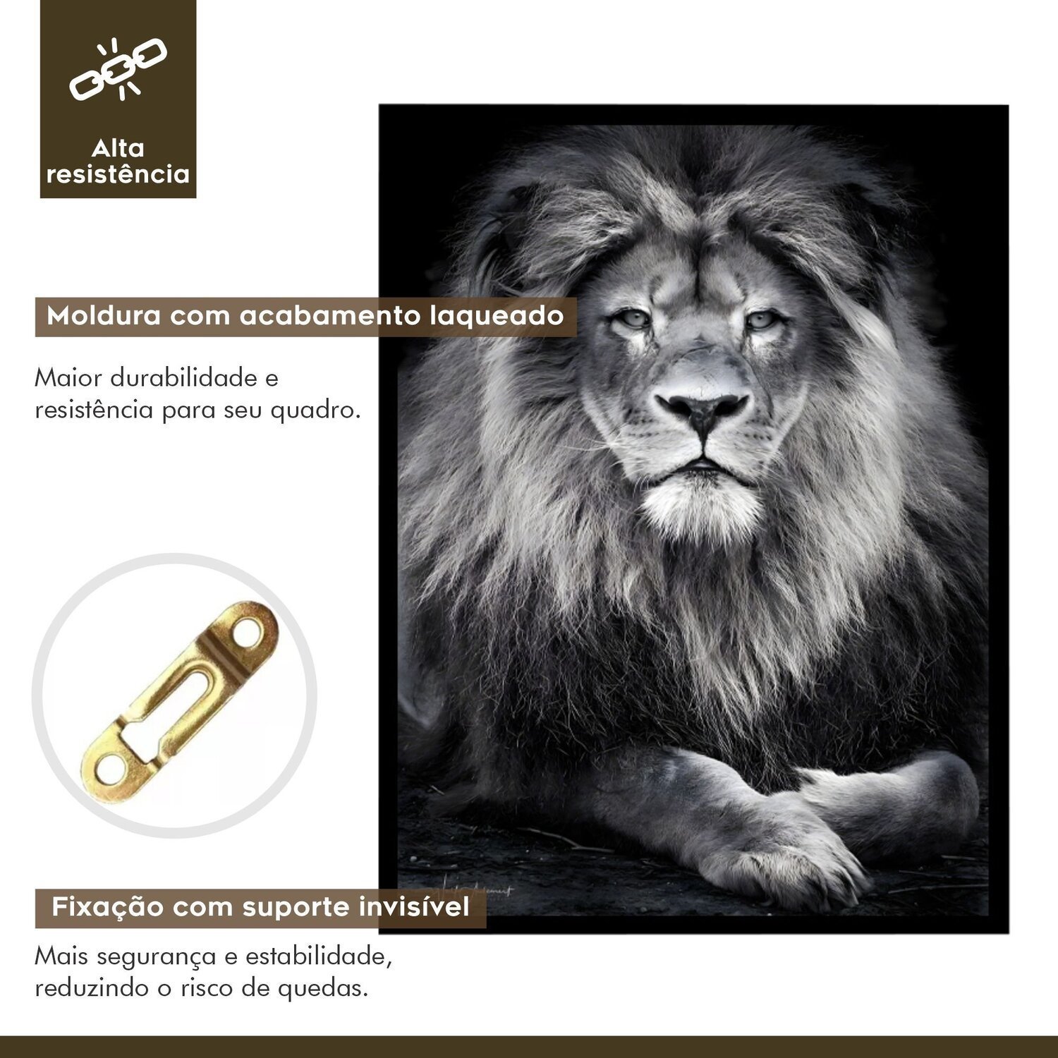 Quadro Decorativo Leão Animal 003 30x42 - 5