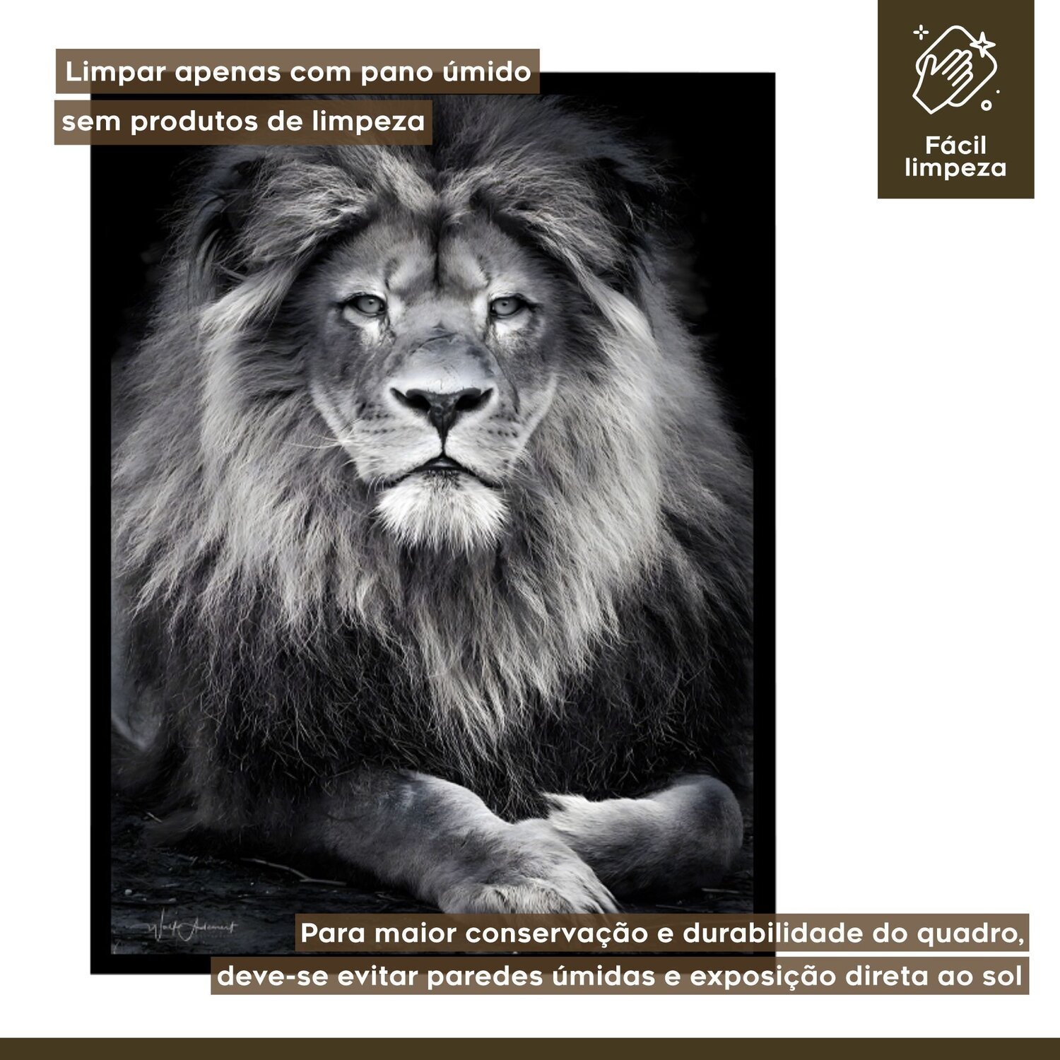 Quadro Decorativo Leão Animal 003 30x42 - 6