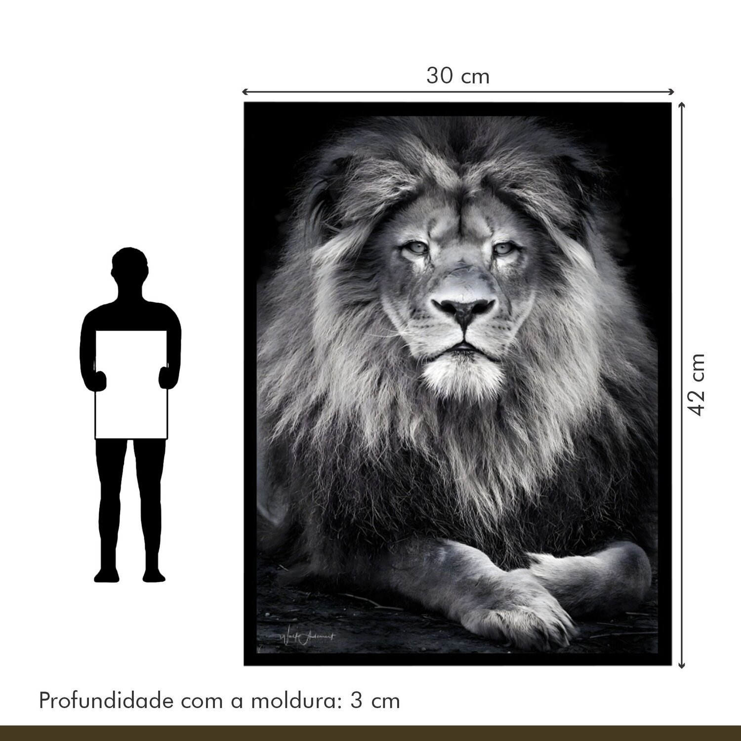 Quadro Decorativo Leão Animal 003 30x42 - 8
