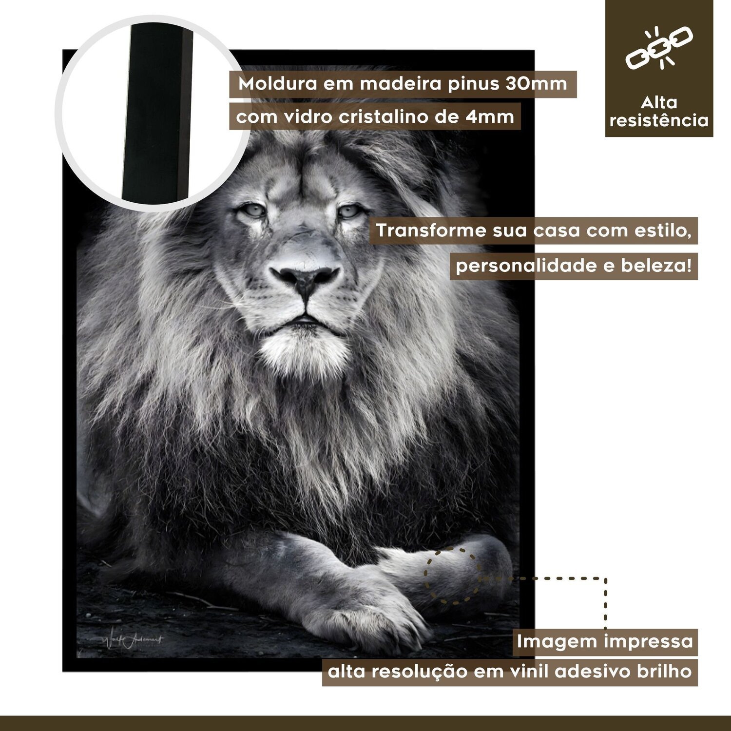 Quadro Decorativo Leão Animal 003 30x42 - 4