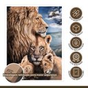 Ver imagem 7 de Quadro Decorativo Familia Leão 005 Moldura em Madeira com Vidro 40x60cm