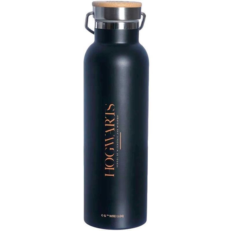 Garrafa Térmica Harry Potter Camp 600ml - Zona Criativa - 2