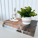 Ver imagem 3 de Decoração livro fake + vaso cachepot branco + enfeite mulher