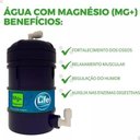Ver imagem 4 de Refil Filtro Alcalino Mg+ Top Life - Certificado Inmetro