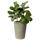 Ver imagem 7 de Kit 2 Mini Árvores Ficus Lyrata 85cm Silicone Realista Toque Natural Decoração Moderna Luxo