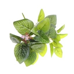 Planta Artificial Mosaico - 6