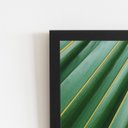 Ver imagem 2 de Folha Planta Verde Natureza Quadro Moldura Preta 60x40cm