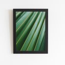 Ver imagem 1 de Folha Planta Verde Natureza Quadro Moldura Preta 60x40cm