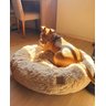 Cama Nuvem Gigante Cachorros Luxo xg 100x100:Branco com Azul - 7