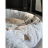 Cama Nuvem Gigante Cachorros Luxo xg 100x100:Branco com Azul - 1