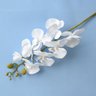 Flor Artificial Haste de Orquídea Média Branca Aveludada| Formosinha - 2
