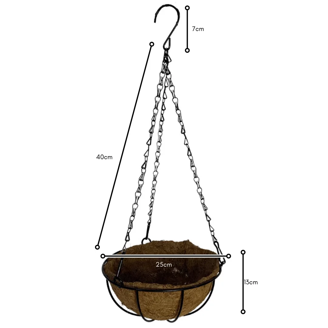 5 Vasos Plantas Suspenso Corrente de Fibra de Coco 25cm - 4