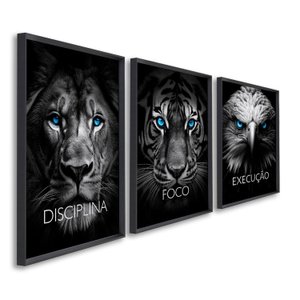 Quadro Decorativo Disciplina Foco Execução 60x90cm Leão Tigre Águia para Sala, Escritório, Hall Com Vidro