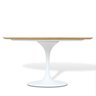 Mesa Saarinen Tulipa Oval 160cm X 90cm - 5
