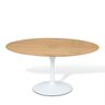 Mesa Saarinen Tulipa Oval 160cm X 90cm - 1