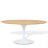 Mesa Saarinen Tulipa Oval 160cm X 90cm - 4
