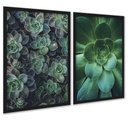 Ver imagem 1 de Kit 2 Quadros Decorativos Suculentas 24x18cm:moldura Preta