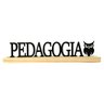 Palavra Decorativa Profissão Pedagogia - Madeira com Base - 1