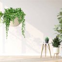 Ver imagem 4 de Cachepô Elegance de Parede Mini (1,5l) Travertino Nutriplan