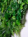 Ver imagem 1 de Jardim Vertical Costela de Adão 1m² Graddus Verde