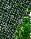 Ver imagem 3 de Jardim Vertical Costela de Adão 1m² Graddus Verde