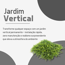 Ver imagem 4 de Jardim Vertical Costela de Adão 1m² Graddus Verde