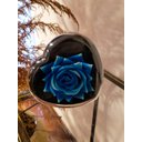 Ver imagem 4 de Coração Encantado Flores Rosa Girassol Presente Perfeito Amor Lindo
