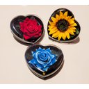 Ver imagem 1 de Coração Encantado Flores Rosa Girassol Presente Perfeito Amor Lindo