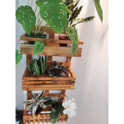 Floreira, Jardim Vertical, Decoração, Painel de Plantas. Jv31 - 2