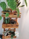 Ver imagem 2 de Floreira, Jardim Vertical, Decoração, Painel de Plantas. Jv31