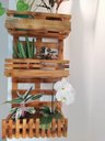 Ver imagem 3 de Floreira, Jardim Vertical, Decoração, Painel de Plantas. Jv31