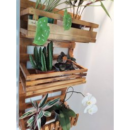 Floreira, Jardim Vertical, Decoração, Painel de Plantas. Jv31 - 7