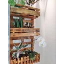 Ver imagem 6 de Floreira, Jardim Vertical, Decoração, Painel de Plantas. Jv31