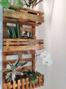 Ver imagem 6 de Floreira, Jardim Vertical, Decoração, Painel de Plantas. Jv31