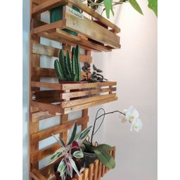 Floreira, Jardim Vertical, Decoração, Painel de Plantas. Jv31 - 5