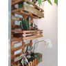 Floreira, Jardim Vertical, Decoração, Painel de Plantas. Jv31 - 5