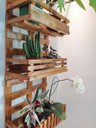 Ver imagem 5 de Floreira, Jardim Vertical, Decoração, Painel de Plantas. Jv31