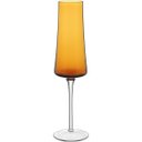 Ver imagem 1 de Jogo 2 Peças Taça de Vidro 210ml Âmbar 26x7x7cm Vinho Água Espumante Champagne