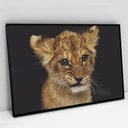 Ver imagem 3 de Quadro Decorativo Filhote em tela Canvas TaColado Moldura Flutuante 4,5cm Freijó 120 x 80cm