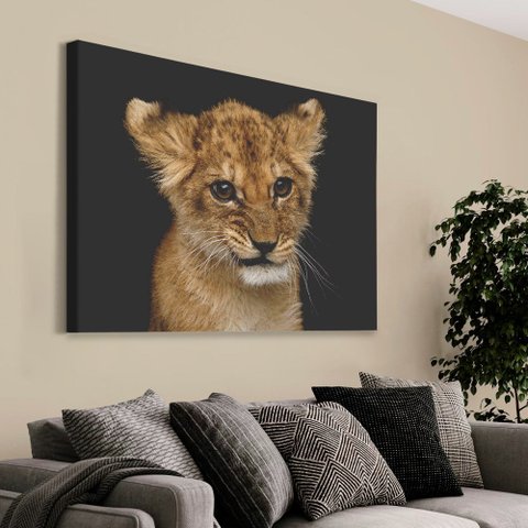 Quadro Decorativo Filhote em tela Canvas TaColado Moldura Flutuante 4,5cm Freijó 120 x 80cm
