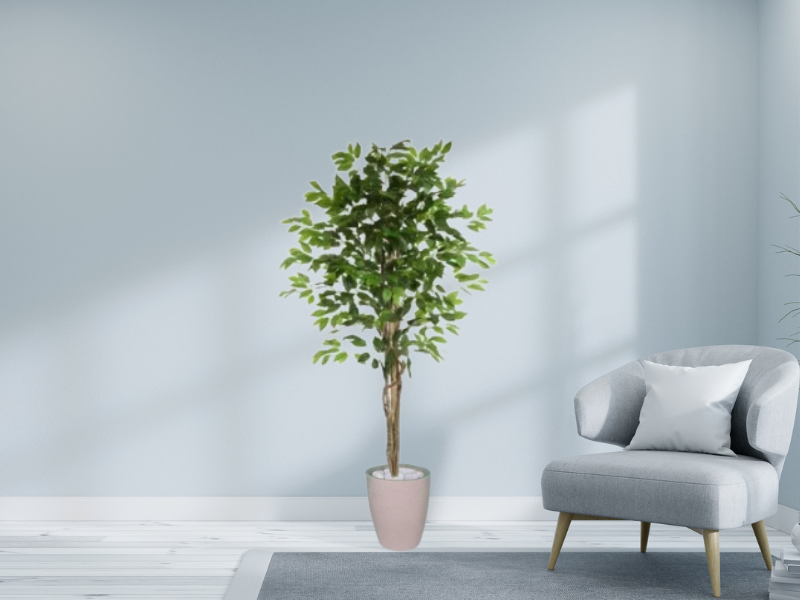 Planta Artificial Ficus Verde 1,50 kit + Vaso S. Bege 30 cm - 2