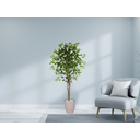 Ver imagem 2 de Planta Artificial Ficus Verde 1,50 kit + Vaso S. Bege 30 cm